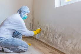 Mold Remediation for Rental Properties in Lemont Furnace, PA