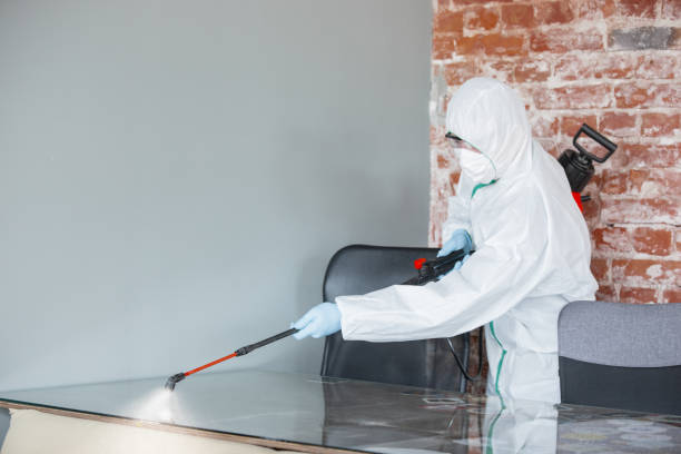 Mold Odor Removal Services in Lemont Furnace, PA